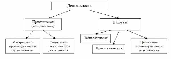 Реферат: Основные виды человеческой деятельности